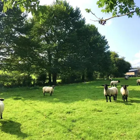 湖景度假屋lakeview Vacation Σπίτι διακοπών *