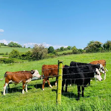 湖景度假屋lakeview Vacation