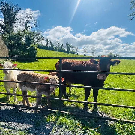 湖景度假屋lakeview Vacation Σπίτι διακοπών