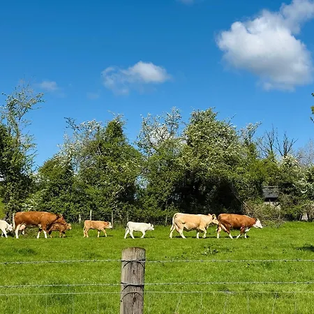 湖景度假屋lakeview Vacation * Belturbet